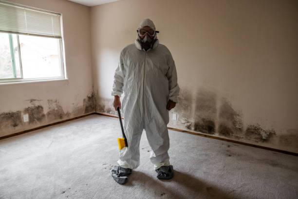 Asbestos and Lead Testing During Mold Inspection in Waynesboro, VA